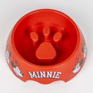 Disney Minnie  Fun pet welcome kit