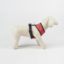 Disney Minnie  Dots dog harness S-M