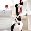 Spiderman Mini Hero cat wand, cat toy