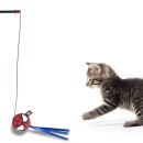 Spiderman Mini Hero cat wand, cat toy