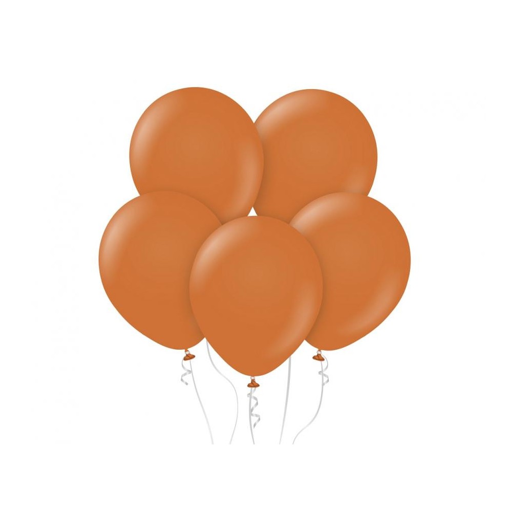 Colour Pastel Caramel balloon, 10 pcs 12 inch (30 cm)