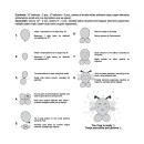 Bee Cute Animal Bee balloon set