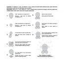 Animals Cute Animal Chicken Chicken Balloon, Balloon Set