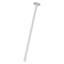 Balloon White Paper balloon, balloon holder stick + cup set