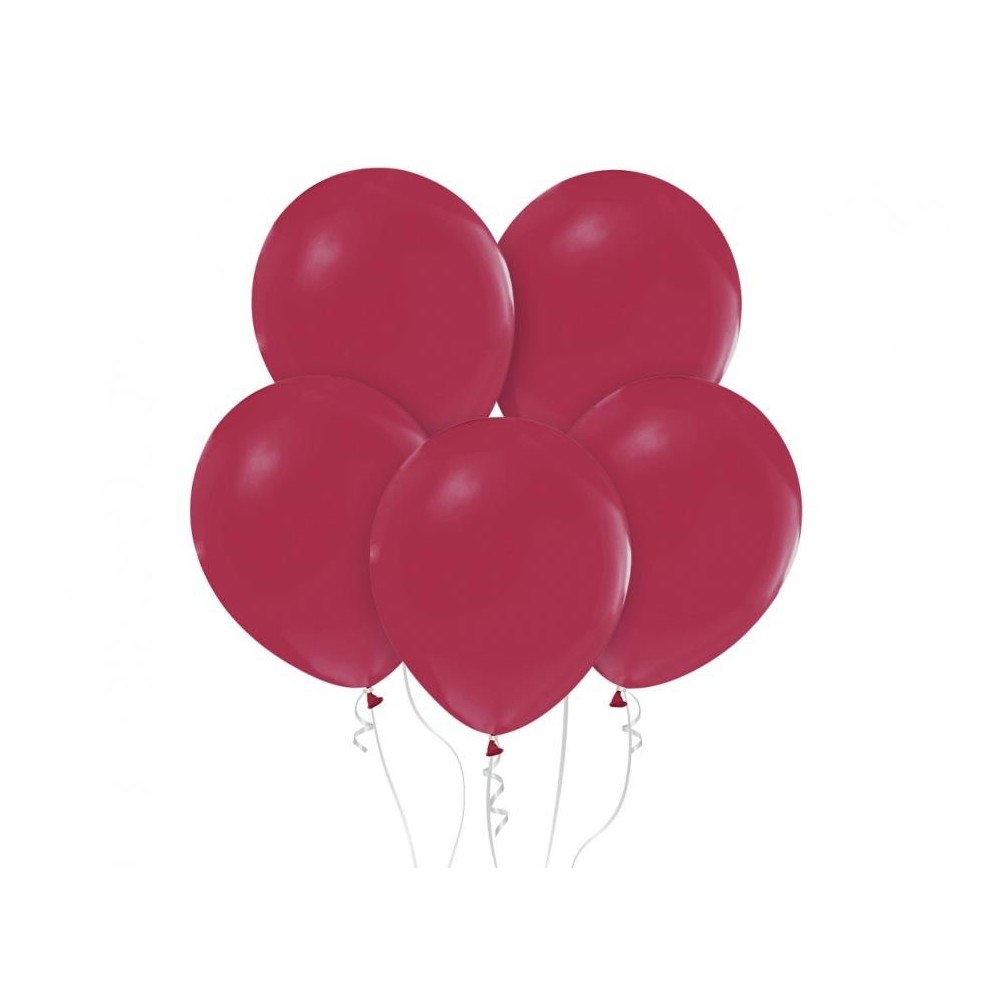Colour Pastel Plum Plum balloon, 10 pcs 12 inch (30 cm)