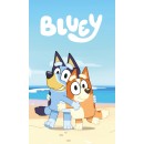 Bluey Beach Day polar fleece blanket 100x150cm