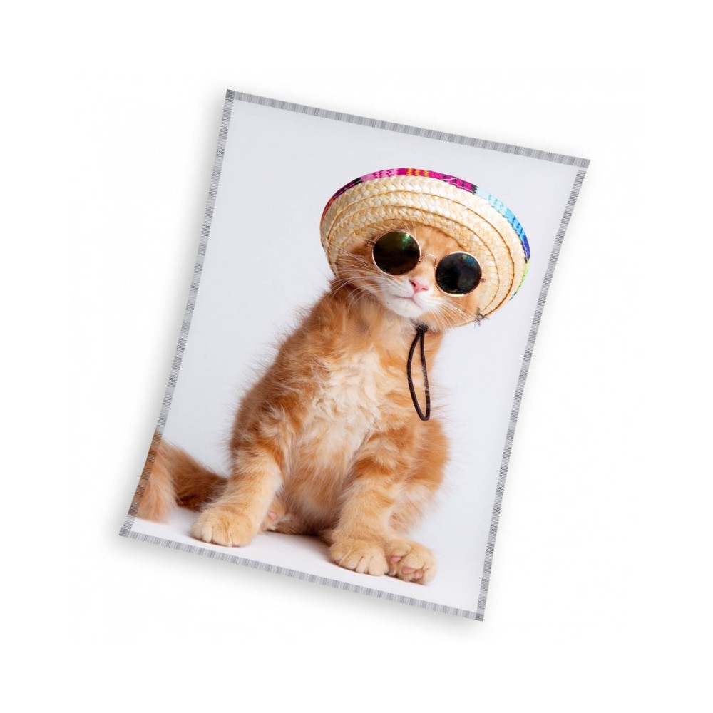 Cat Cool Kitty coral fleece throw blanket 150x200cm