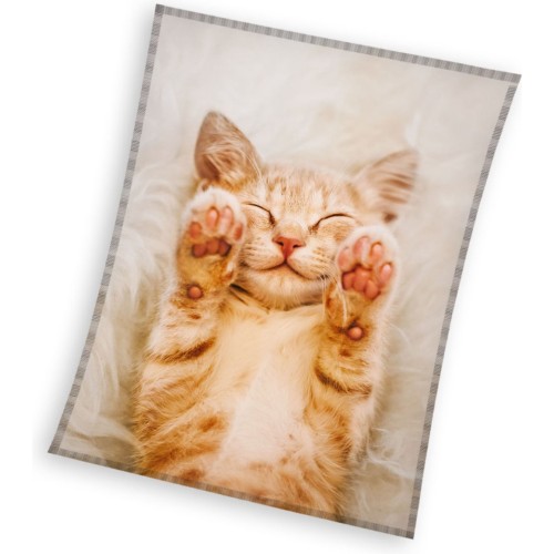 Cat Fluffydream coral fleece blanket 130x170cm