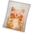 Cat Fluffydream coral fleece blanket 130x170cm