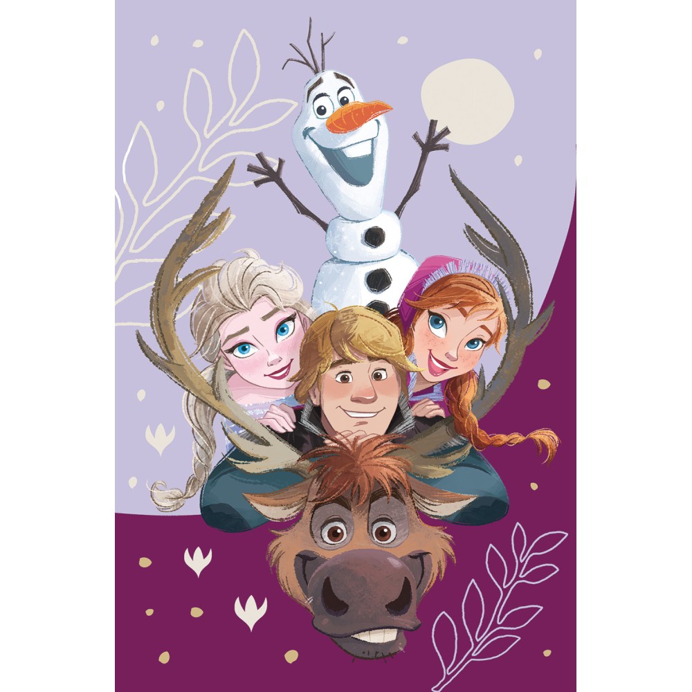 Disney Frozen Family microfleece blanket 100x150cm
