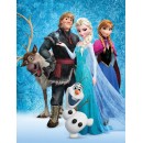 Disney Frozen Ice polar blanket 130x170 cm