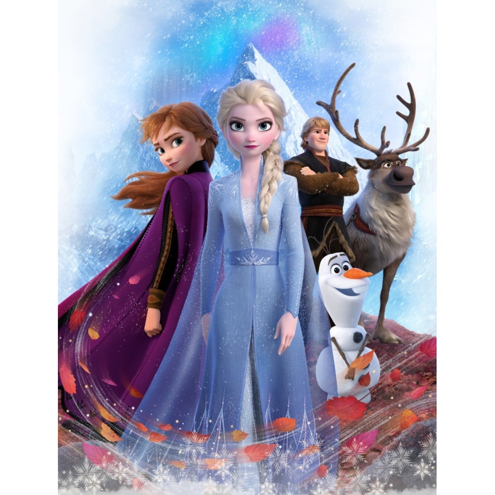 Disney Frozen Storm fleece blanket 130x170 cm