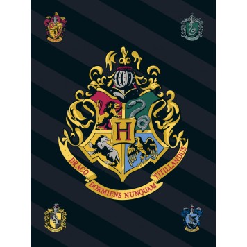 Harry Potter fleece blanket 100*140cm