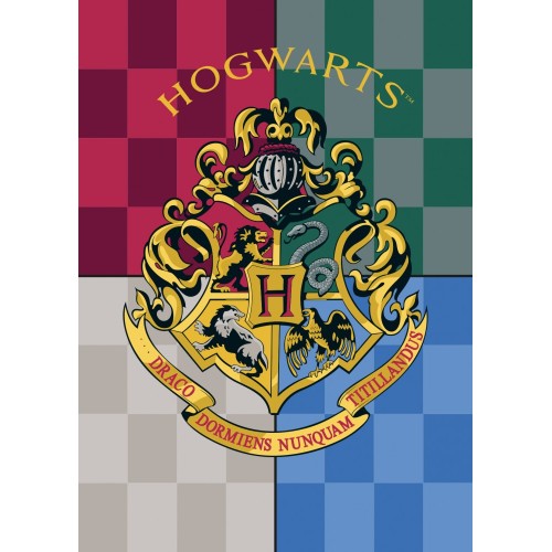Harry Potter polar blanket 100*140cm