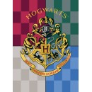 Harry Potter polar blanket 100*140cm