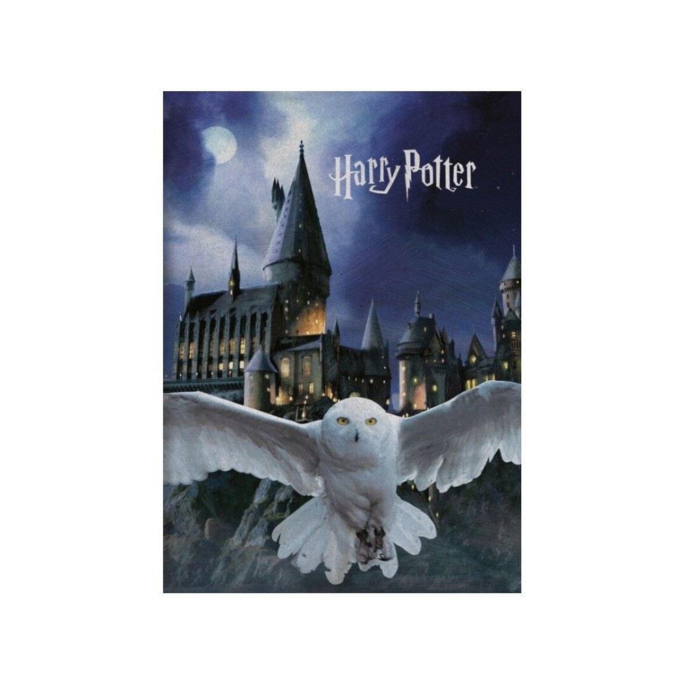 Harry Potter Hogwarts Fleece Blanket 100x140cm
