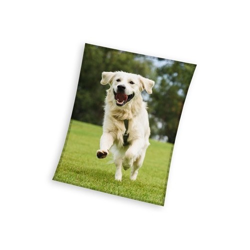 Dog Happytail Retriever coral fleece polar blanket 150x200cm