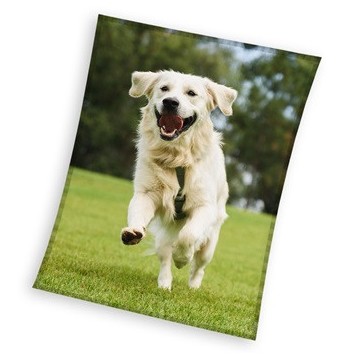 Dog Happytail Retriever coral fleece polar blanket 150x200cm