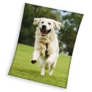 Dog Happytail Retriever coral fleece polar blanket 150x200cm