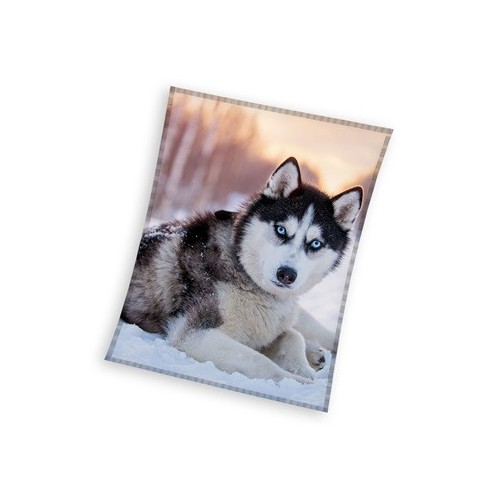 Dog Husky coral fleece blanket 150x200cm