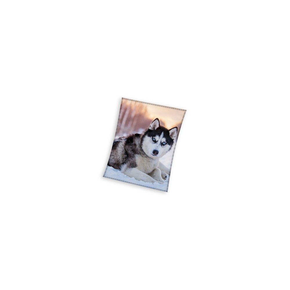 Dog Husky coral fleece blanket 150x200cm