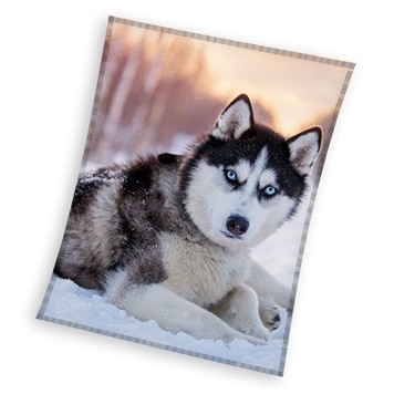 Dog Husky coral fleece blanket 150x200cm