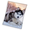 Dog Husky coral fleece blanket 150x200cm