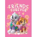 Paw Patrol Friends Furever fleece blanket 100x140cm