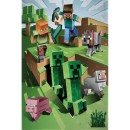 Minecraft Cave Attack polar fleece blanket 100x150cm