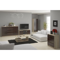 KOMODA K160 2D 4SZ CLP DĄB SONOMA / WENGE