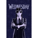 Wednesday Color fleece blanket 100x150cm