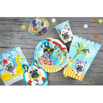 Summer Hawaiian Hawaii Party invitation pack of 6