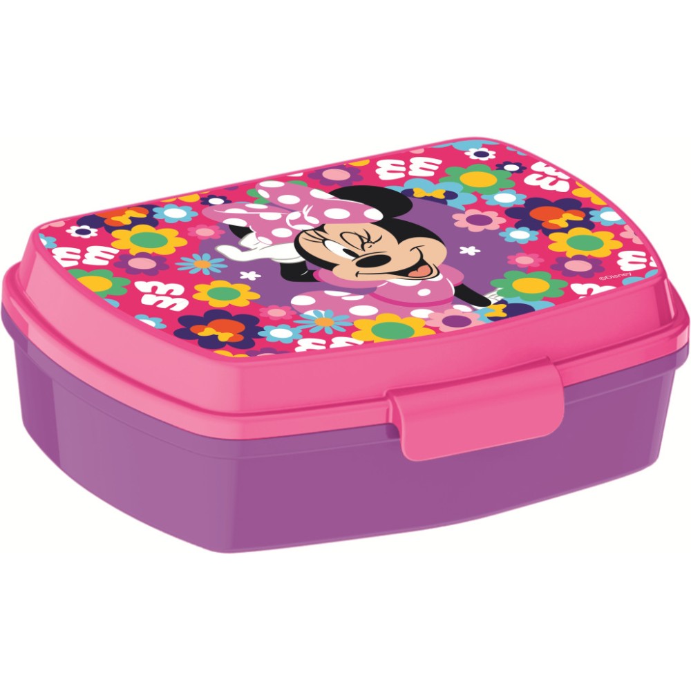 Disney Minnie  Bold Florals funny plastic sandwich box