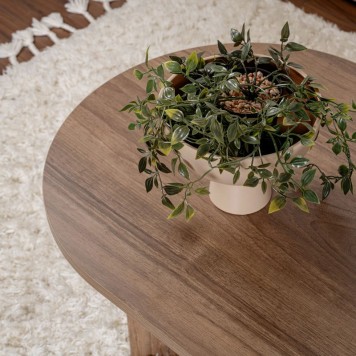 Coffee table Tabletod pakoworld in walnut color 119x60x40cm