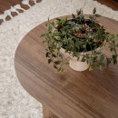 Coffee table Tabletod pakoworld in walnut color 119x60x40cm