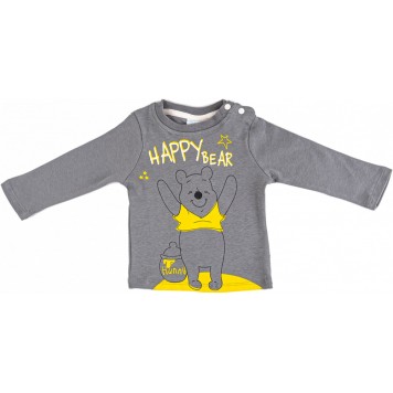 Disney Winnie the Pooh baby t-shirt, top 2 pcs 86/92 cm