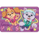 Paw Patrol placemat 43*28 cm