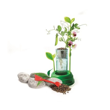 Colour Science Botanical Lab Set Clementoni