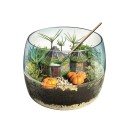 Harry Potter Hagrid Hut Terrarium Clementoni