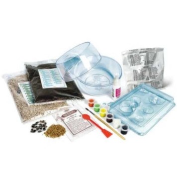 Harry Potter Hagrid Hut Terrarium Clementoni