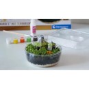 Harry Potter Hagrid Hut Terrarium Clementoni