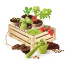 Colour Organic Gardening Scientific Kit Clementoni