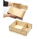 Colour Organic Gardening Scientific Kit Clementoni