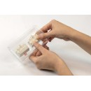 Stranger Things Upside Down Clementoni terrarium