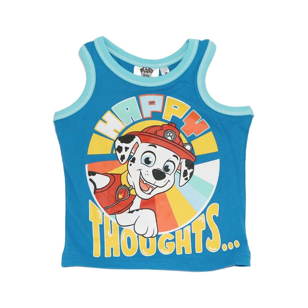 Paw Patrol children's short t-shirt, top 5 years