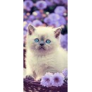 Cat Bloom bath towel, beach towel 70x140cm