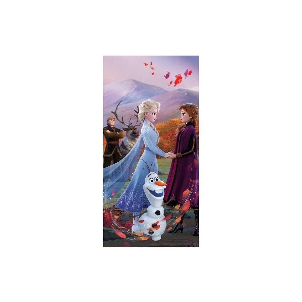 Disney Frozen Wind bath towel, beach towel 70x140cm