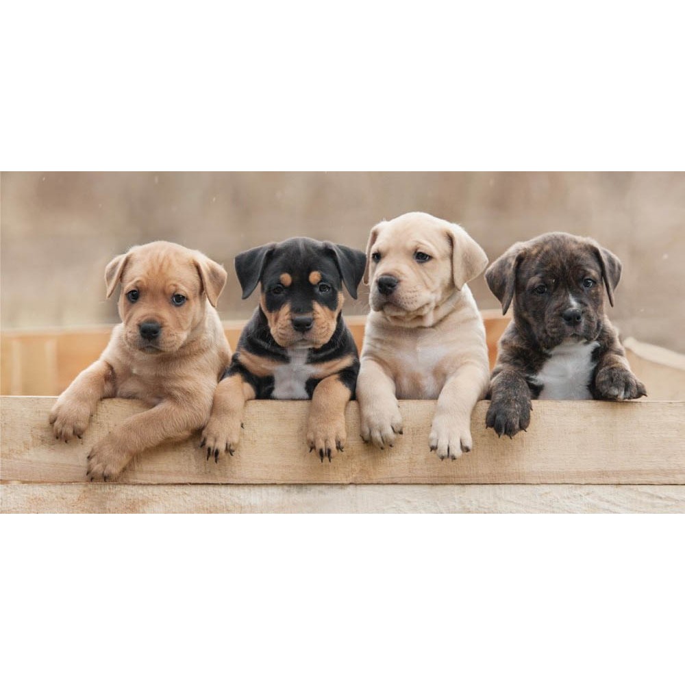 Dog Team Bath Towel, Beach Towel 70*140cm