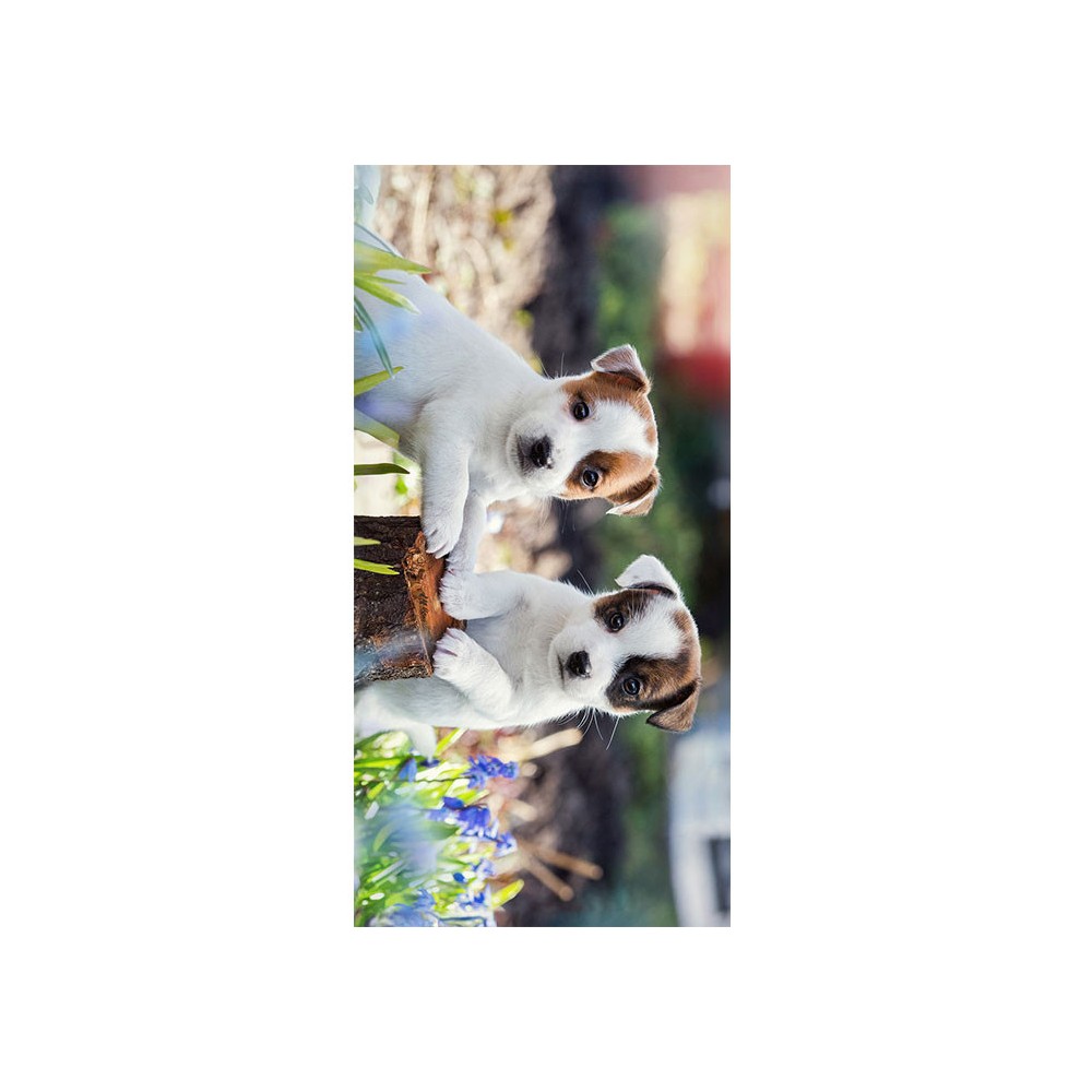 Dog Springtime bath towel, beach towel 70x140cm