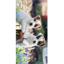 Dog Springtime bath towel, beach towel 70x140cm